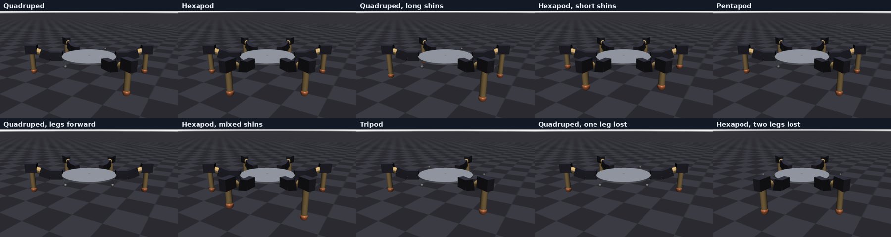 Ten simulated robot bodies built from the same leg modules: quadrupeds, hexapods, a pentapod, a tripod, and damaged variants