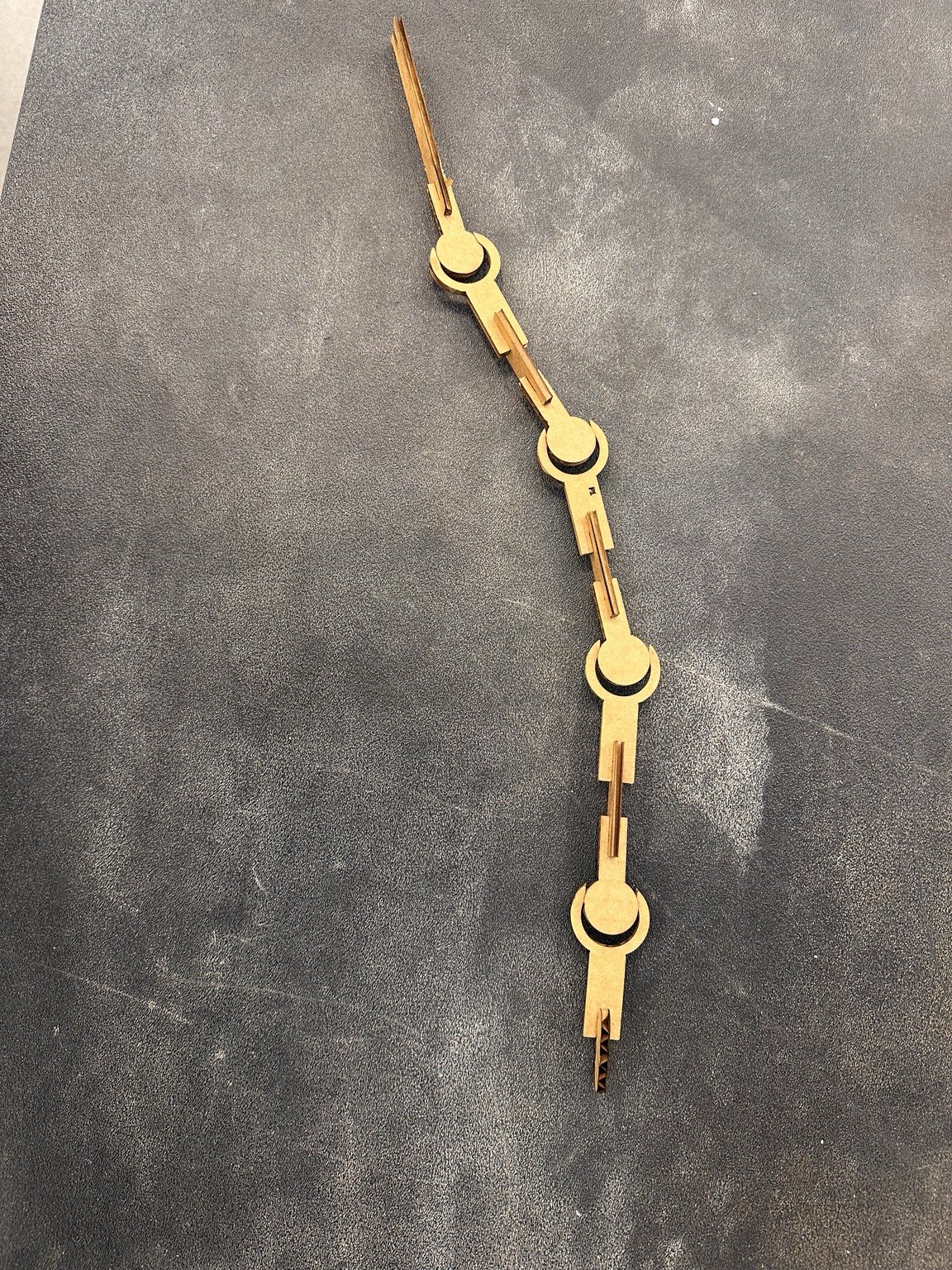 Laser-cut cardboard snake made from repeated linked disk joints