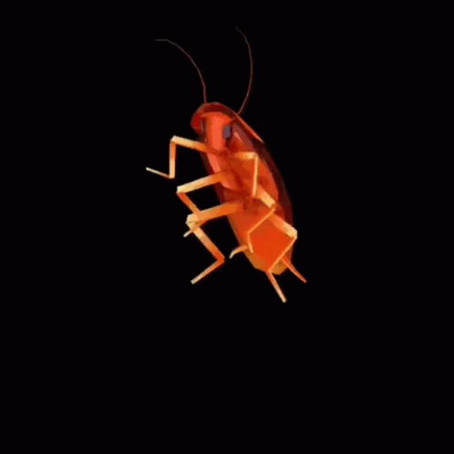 My first gif