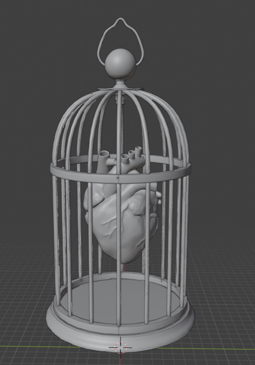 Updated cage with the heart inside