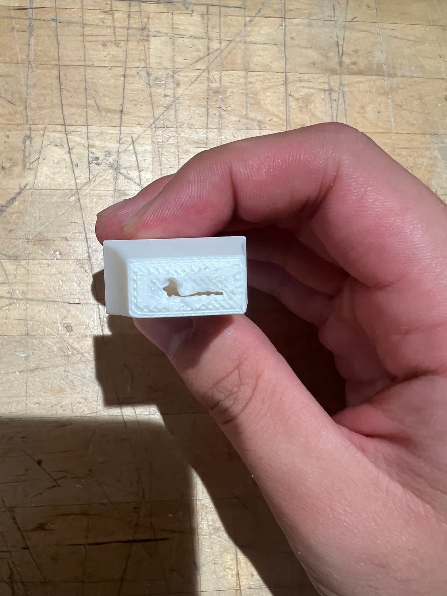 Whistle print