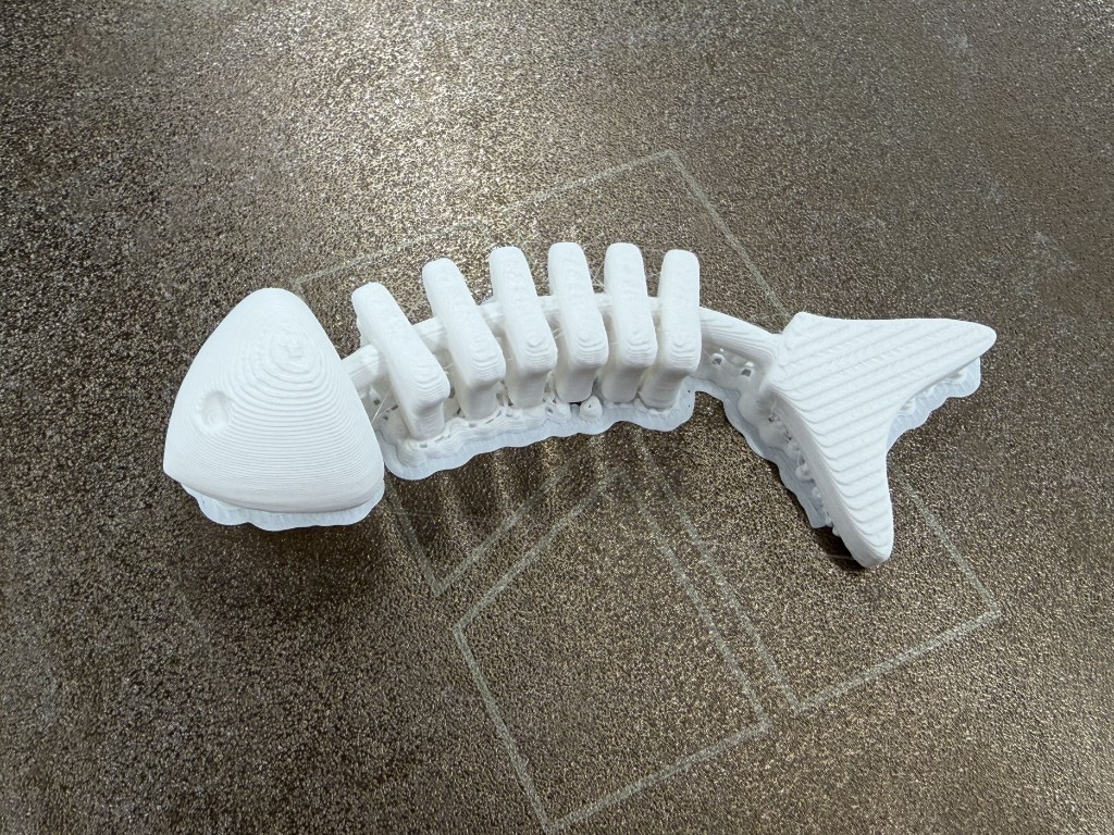 3D Scanning and Printing — Joanne Hong