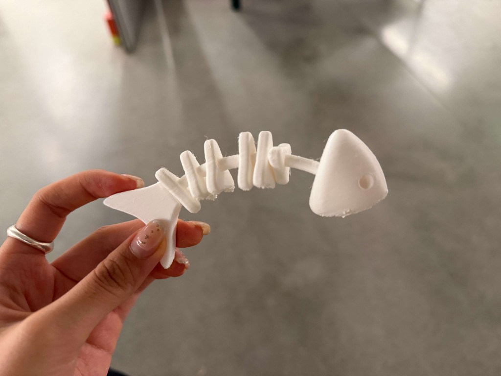 3D Scanning and Printing — Joanne Hong