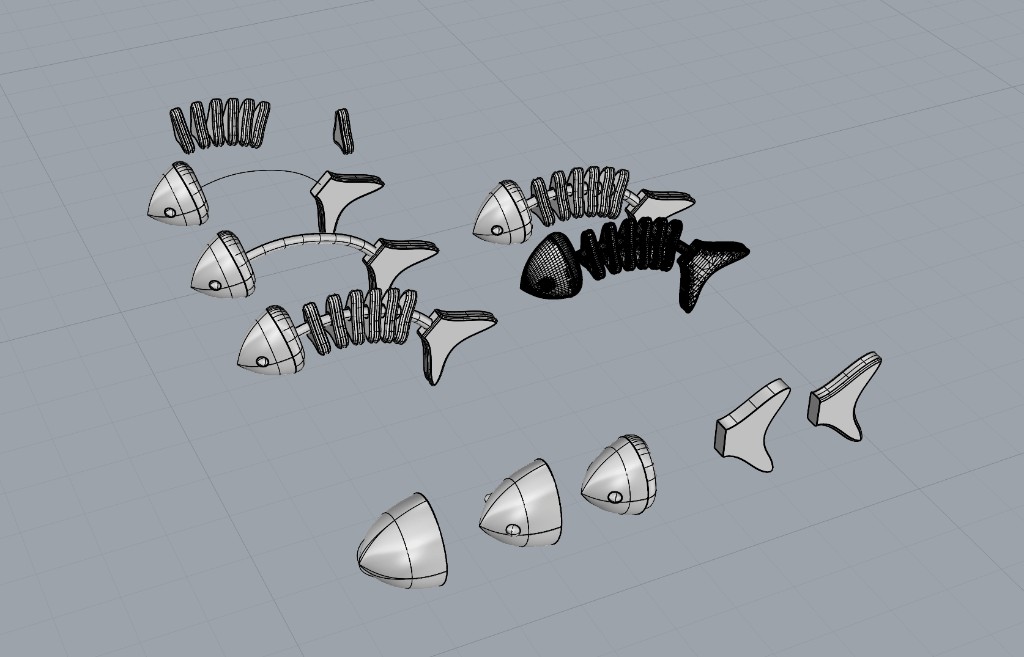 Rhino model of several fish skeletons, some assembled and some in separate pieces