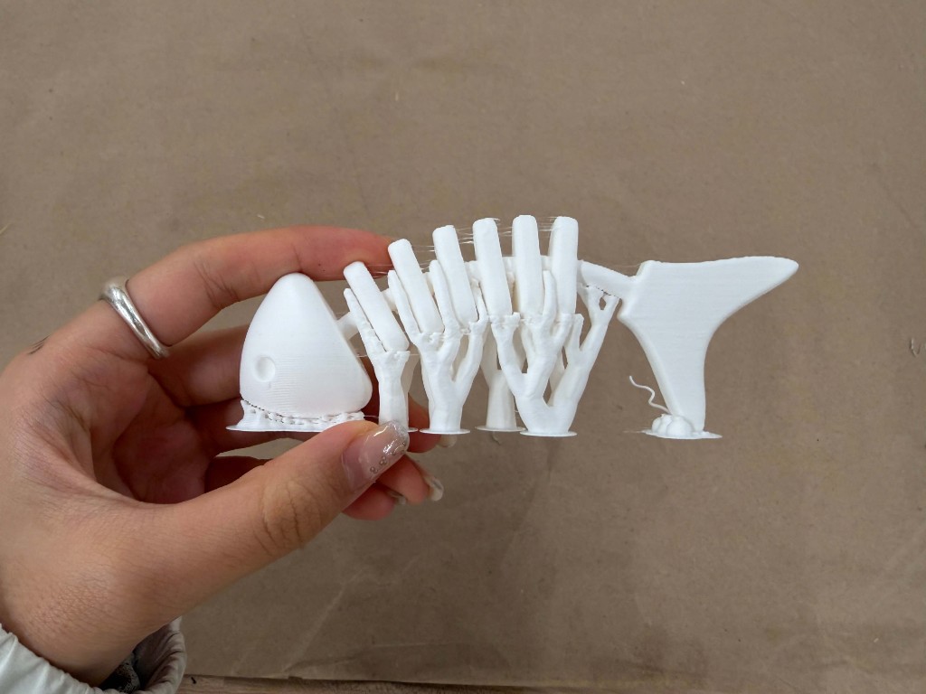 Hand holding a white 3D printed fish skeleton still attached to support strings