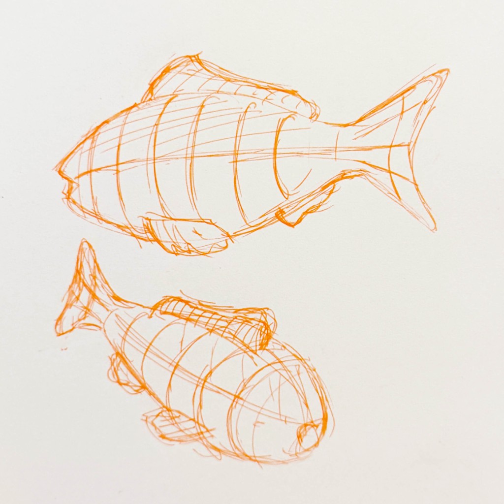Orange pen sketches of a slotted cardboard fish, side and front views