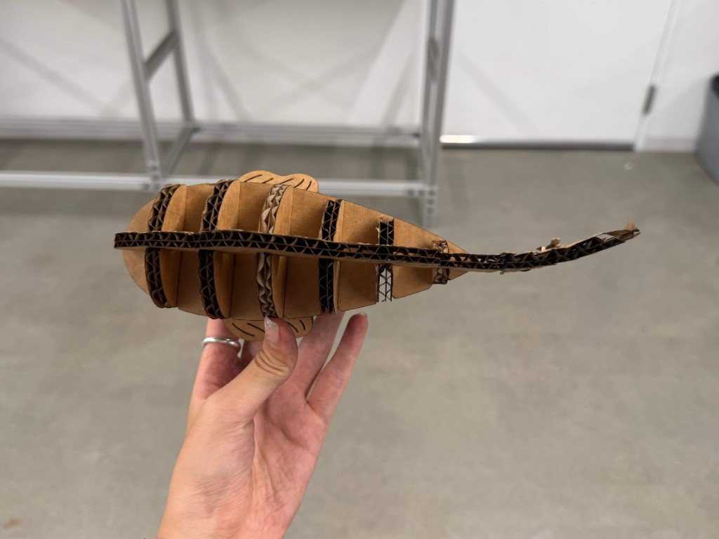 Side view of the cardboard fish with its kerfed tail bent downward