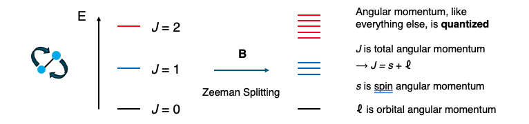 Diagram of angular momentum energy levels J = 0, 1, 2 splitting into sublevels under an applied magnetic field B (Zeeman splitting)