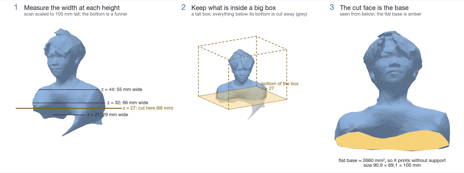 Three views of the scanned bust: widths measured at several heights, a tall box whose bottom sits at the cut height, and the result with a flat base