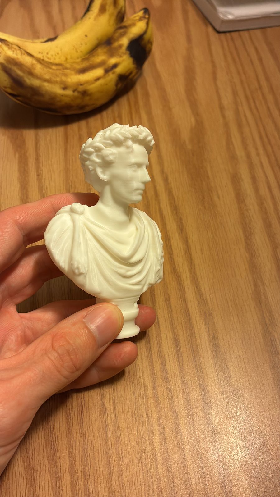 Side view of the finished bust with the supports removed, held in Victor's hand, showing the profile of his face, the nose and the laurel wreath