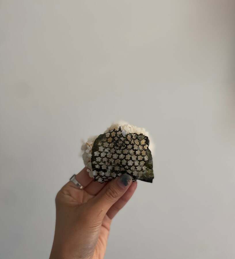 Onigiri wrapped in sakura nori