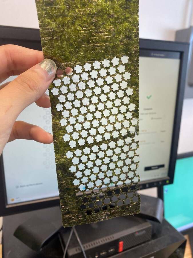 Sakura cut-outs in nori